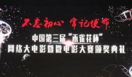 大蓉要努力最新爆料,揭秘努力背后的故事与挑战